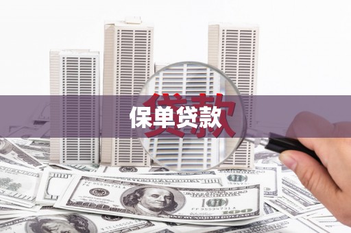 南康保单贷款 南康保单贷款